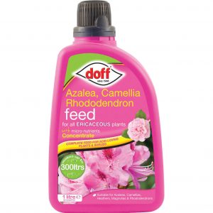 Doff Azalea, Camellia and Rhododendron Feed 1l